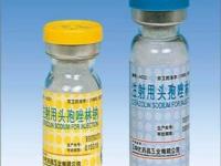 頭孢唑林鈉作用與副作用_頭孢唑林鈉作用與副作用的區別
